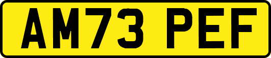AM73PEF