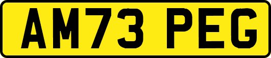 AM73PEG