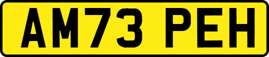 AM73PEH