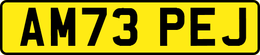 AM73PEJ