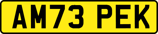 AM73PEK
