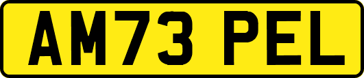 AM73PEL