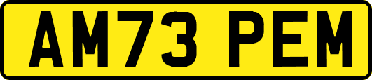 AM73PEM