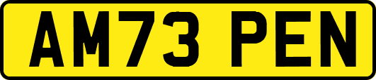 AM73PEN