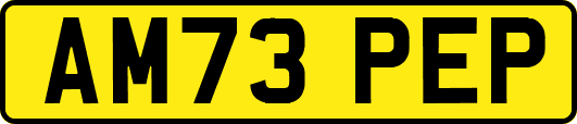 AM73PEP