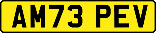 AM73PEV