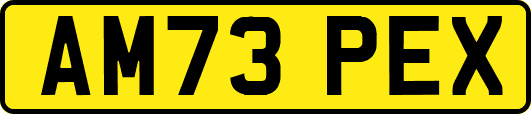 AM73PEX