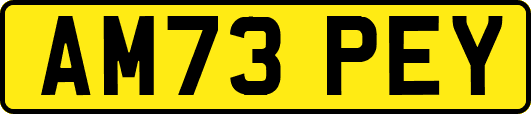 AM73PEY