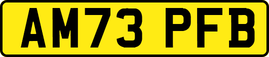 AM73PFB