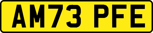 AM73PFE