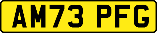 AM73PFG