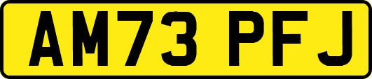 AM73PFJ
