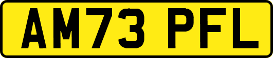 AM73PFL