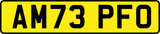 AM73PFO