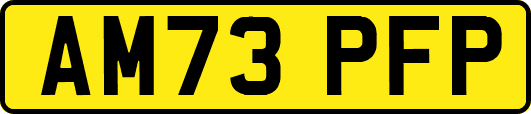 AM73PFP