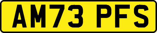 AM73PFS