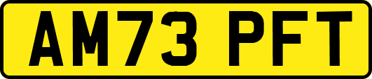 AM73PFT