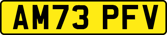 AM73PFV