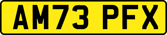 AM73PFX