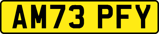 AM73PFY