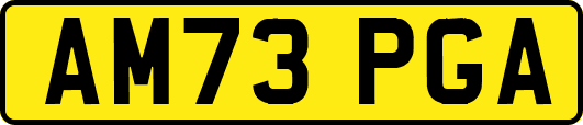 AM73PGA