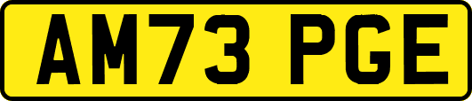 AM73PGE