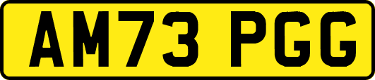 AM73PGG