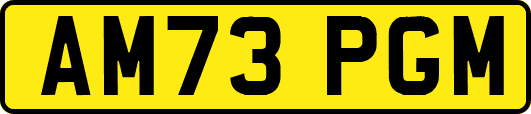 AM73PGM