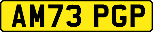 AM73PGP