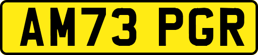 AM73PGR