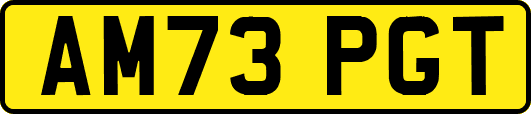 AM73PGT