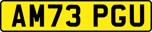 AM73PGU