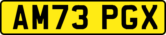 AM73PGX