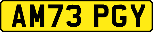 AM73PGY