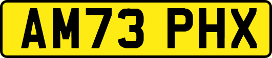 AM73PHX