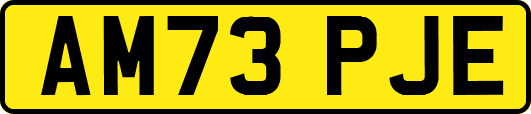 AM73PJE