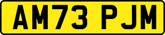 AM73PJM