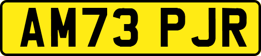 AM73PJR