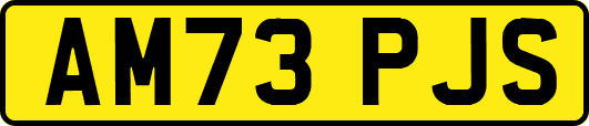 AM73PJS