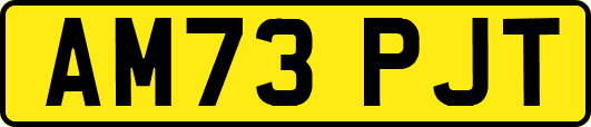 AM73PJT