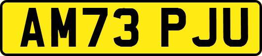 AM73PJU