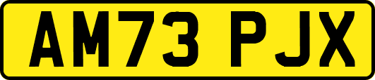 AM73PJX
