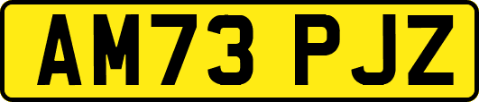 AM73PJZ
