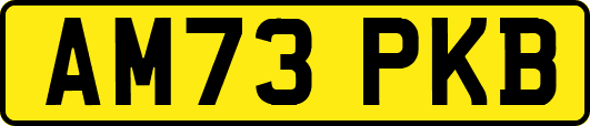AM73PKB
