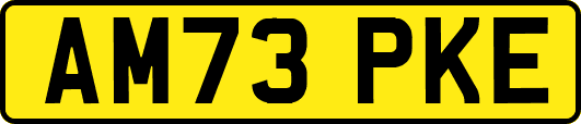 AM73PKE