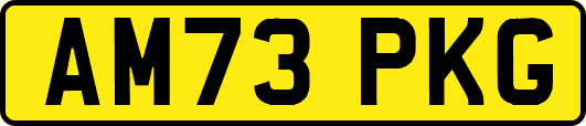 AM73PKG