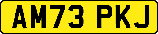 AM73PKJ