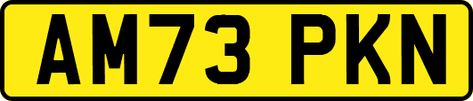 AM73PKN