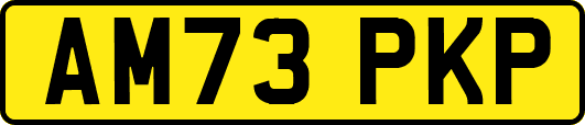 AM73PKP