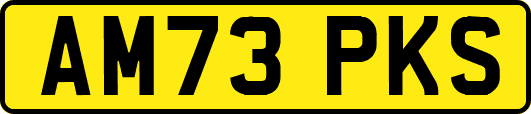 AM73PKS